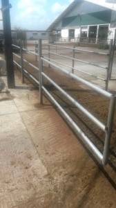 Ferma zootehnica cu constructii produse metalice zincate